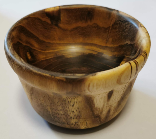 Mon premier bol à cacahuètes (mars 2023) – Cytise faux ébénier