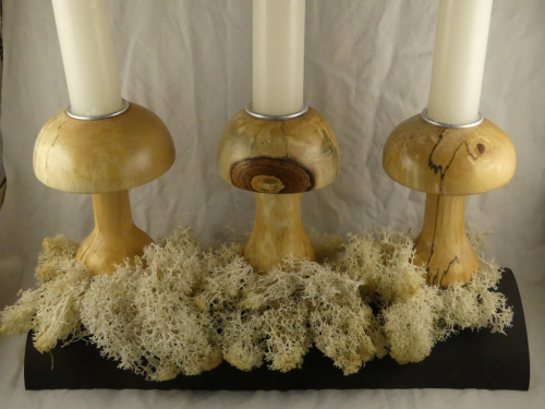 Champignons - Bouleau, support en laurier