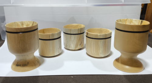 Coquetiers - Bouleau échauffé