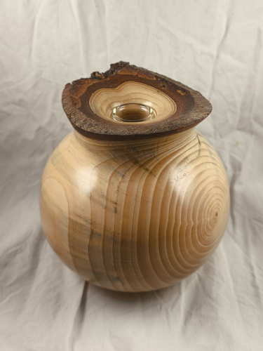 La bourse - Soliflore - Cèdre de l'Atlas