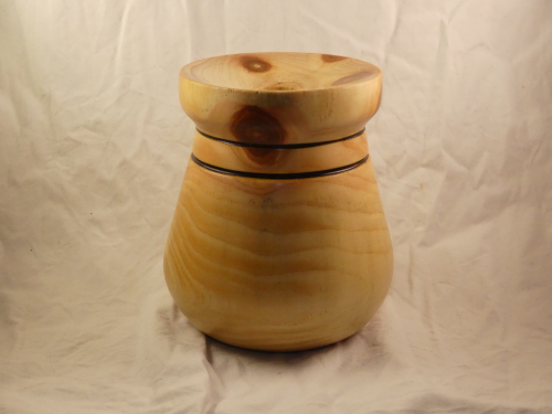 Soliflore - Cèdre de l'Atlas